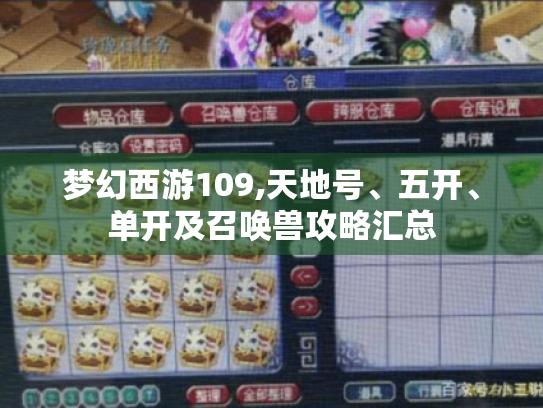 梦幻西游109,天地号、五开、单开及召唤兽攻略汇总