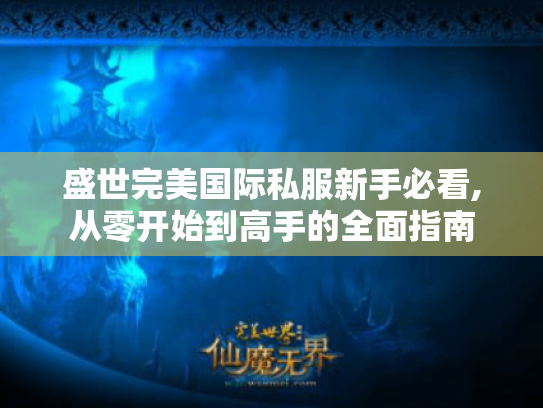 盛世完美国际私服新手必看,从零开始到高手的全面指南 盛世完美国际私服新手必看,从零开始到高手的全面指南