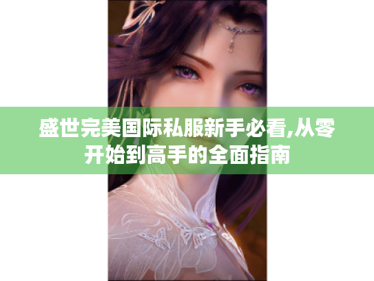 盛世完美国际私服新手必看,从零开始到高手的全面指南 盛世完美国际私服新手必看,从零开始到高手的全面指南