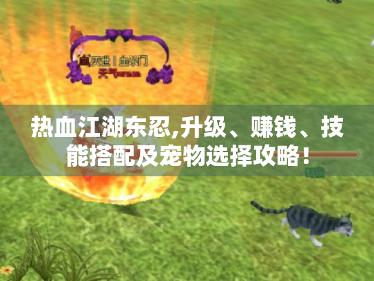 热血江湖东忍,升级、赚钱、技能搭配及宠物选择攻略! 热血江湖东忍,升级、赚钱、技能搭配及宠物选择攻略!