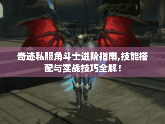 奇迹私服角斗士进阶指南,技能搭配与实战技巧全解! 奇迹私服角斗士进阶指南,技能搭配与实战技巧全解!