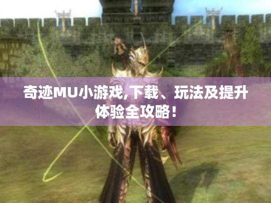 奇迹MU小游戏,下载、玩法及提升体验全攻略! 奇迹MU小游戏,下载、玩法及提升体验全攻略!