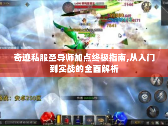 奇迹私服圣导师加点终极指南,从入门到实战的全面解析 奇迹私服圣导师加点终极指南,从入门到实战的全面解析