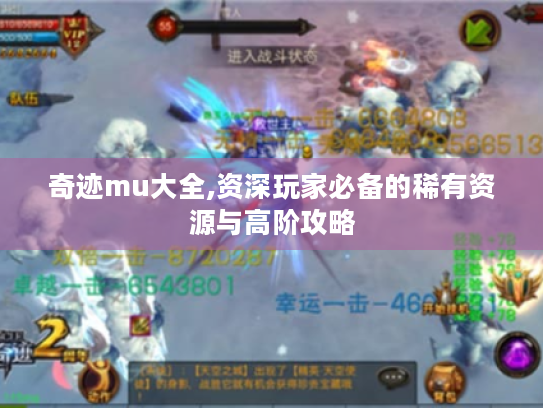 奇迹mu大全,资深玩家必备的稀有资源与高阶攻略