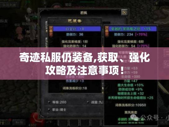 奇迹私服仍装备,获取、强化攻略及注意事项! 奇迹私服仍装备,获取、强化攻略及注意事项!