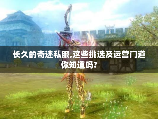 长久的奇迹私服,这些挑选及运营门道你知道吗? 长久的奇迹私服,这些挑选及运营门道你知道吗?