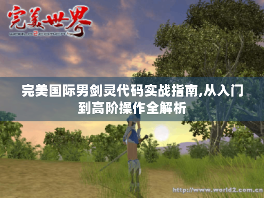 完美国际男剑灵代码实战指南,从入门到高阶操作全解析