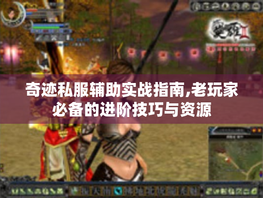 奇迹私服辅助实战指南,老玩家必备的进阶技巧与资源 奇迹私服辅助实战指南,老玩家必备的进阶技巧与资源