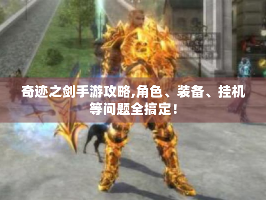 奇迹之剑手游攻略,角色、装备、挂机等问题全搞定! 奇迹之剑手游攻略,角色、装备、挂机等问题全搞定!