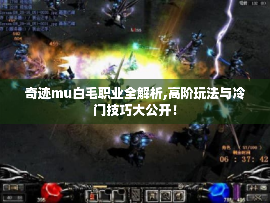 奇迹mu白毛职业全解析,高阶玩法与冷门技巧大公开! 奇迹mu白毛职业全解析,高阶玩法与冷门技巧大公开!