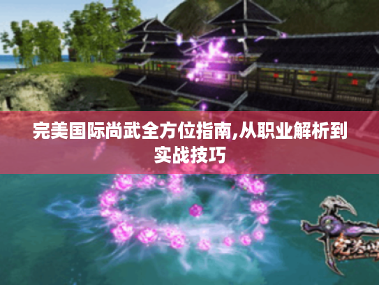 完美国际尚武全方位指南,从职业解析到实战技巧 完美国际尚武全方位指南,从职业解析到实战技巧