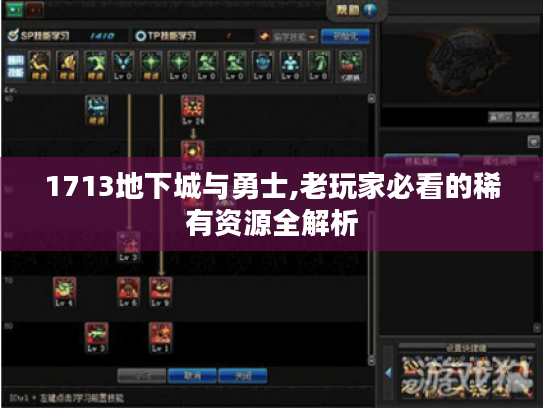 1713地下城与勇士,老玩家必看的稀有资源全解析 1713地下城与勇士,老玩家必看的稀有资源全解析