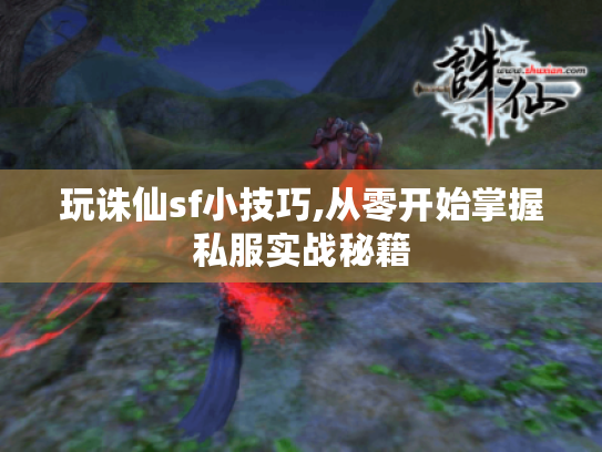 玩诛仙sf小技巧,从零开始掌握私服实战秘籍 玩诛仙sf小技巧,从零开始掌握私服实战秘籍