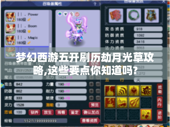 梦幻西游五开刷历劫月光草攻略,这些要点你知道吗? 梦幻西游五开刷历劫月光草攻略,这些要点你知道吗?