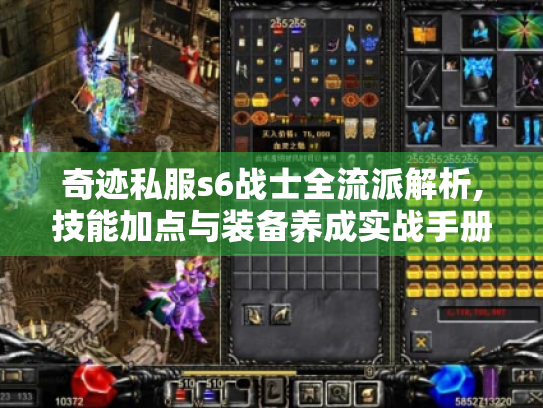奇迹私服s6战士全流派解析,技能加点与装备养成实战手册 奇迹私服s6战士全流派解析,技能加点与装备养成实战手册