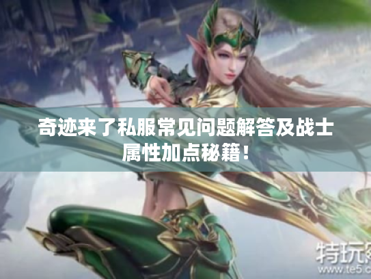 奇迹来了私服常见问题解答及战士属性加点秘籍！