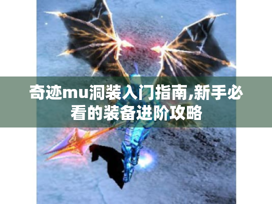 奇迹mu洞装入门指南,新手必看的装备进阶攻略 奇迹mu洞装入门指南,新手必看的装备进阶攻略