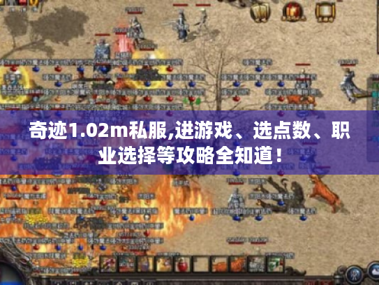 奇迹1.02m私服,进游戏、选点数、职业选择等攻略全知道! 奇迹1.02m私服,进游戏、选点数、职业选择等攻略全知道!
