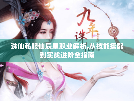 诛仙私服仙辰皇职业解析,从技能搭配到实战进阶全指南 诛仙私服仙辰皇职业解析,从技能搭配到实战进阶全指南