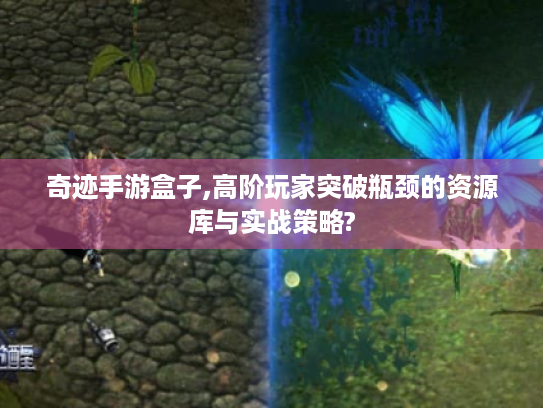 奇迹手游盒子,高阶玩家突破瓶颈的资源库与实战策略? 奇迹手游盒子,高阶玩家突破瓶颈的资源库与实战策略?