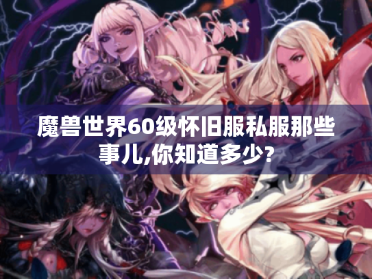 魔兽世界60级怀旧服私服那些事儿,你知道多少?