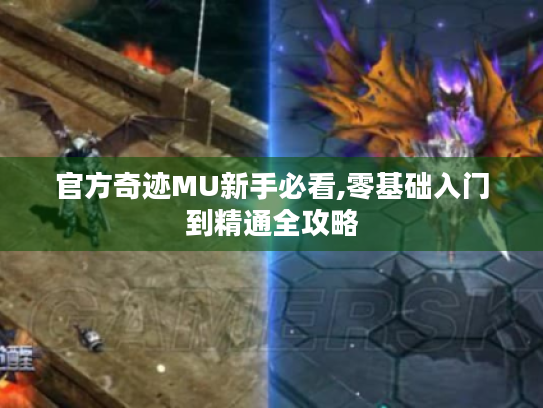 官方奇迹MU新手必看,零基础入门到精通全攻略 官方奇迹MU新手必看,零基础入门到精通全攻略