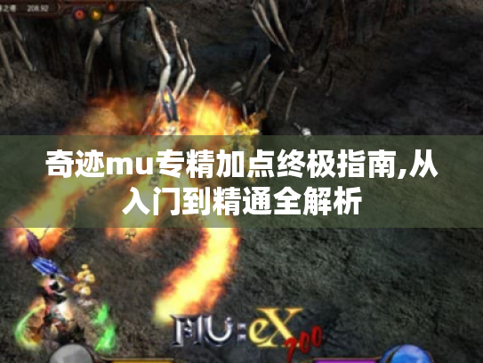 奇迹mu专精加点终极指南,从入门到精通全解析 奇迹mu专精加点终极指南,从入门到精通全解析
