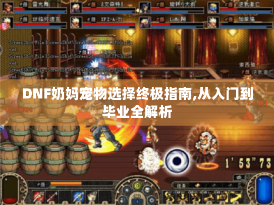 DNF奶妈宠物选择终极指南,从入门到毕业全解析