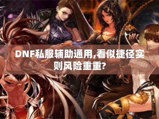 DNF私服辅助通用,看似捷径实则风险重重? DNF私服辅助通用,看似捷径实则风险重重?