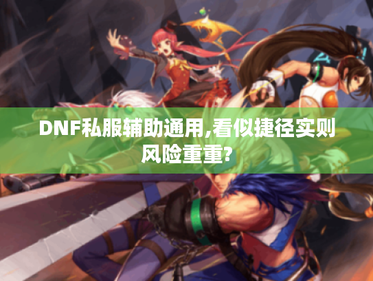 DNF私服辅助通用,看似捷径实则风险重重? DNF私服辅助通用,看似捷径实则风险重重?