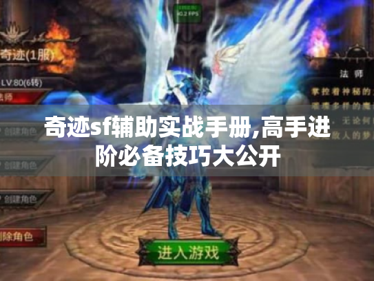 奇迹sf辅助实战手册,高手进阶必备技巧大公开 奇迹sf辅助实战手册,高手进阶必备技巧大公开