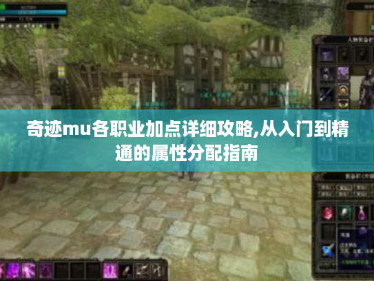 奇迹mu各职业加点详细攻略,从入门到精通的属性分配指南 奇迹mu各职业加点详细攻略,从入门到精通的属性分配指南