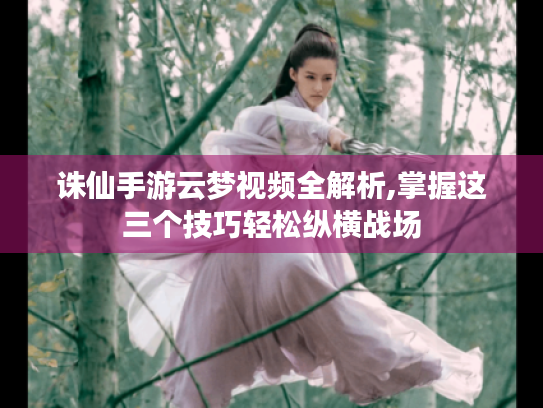 诛仙手游云梦视频全解析,掌握这三个技巧轻松纵横战场 诛仙手游云梦视频全解析,掌握这三个技巧轻松纵横战场