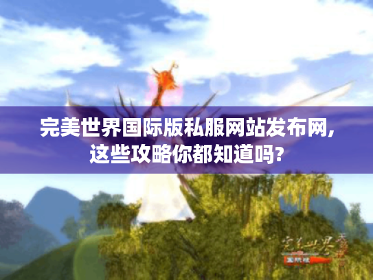 完美世界国际版私服网站发布网,这些攻略你都知道吗? 完美世界国际版私服网站发布网,这些攻略你都知道吗?