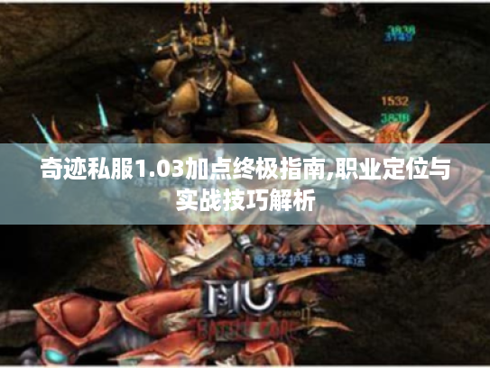 奇迹私服1.03加点终极指南,职业定位与实战技巧解析 奇迹私服1.03加点终极指南,职业定位与实战技巧解析