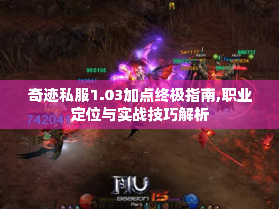 奇迹私服1.03加点终极指南,职业定位与实战技巧解析 奇迹私服1.03加点终极指南,职业定位与实战技巧解析