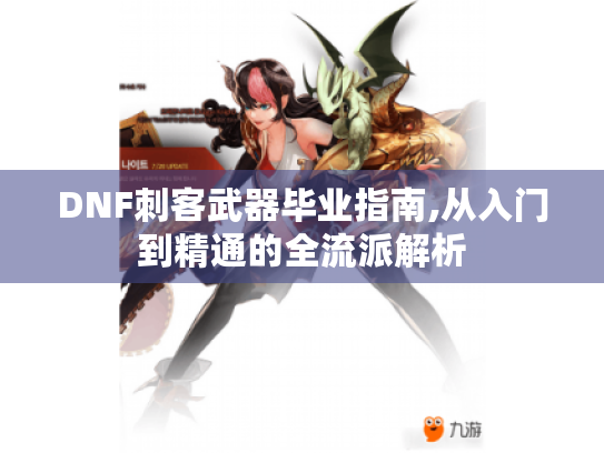 DNF刺客武器毕业指南,从入门到精通的全流派解析 DNF刺客武器毕业指南,从入门到精通的全流派解析