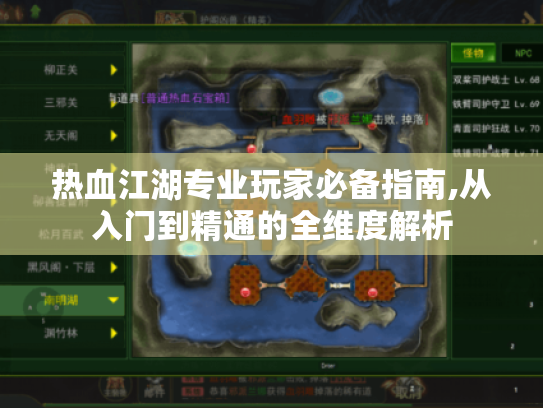 热血江湖专业玩家必备指南,从入门到精通的全维度解析