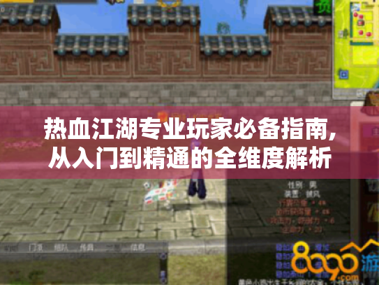 热血江湖专业玩家必备指南,从入门到精通的全维度解析