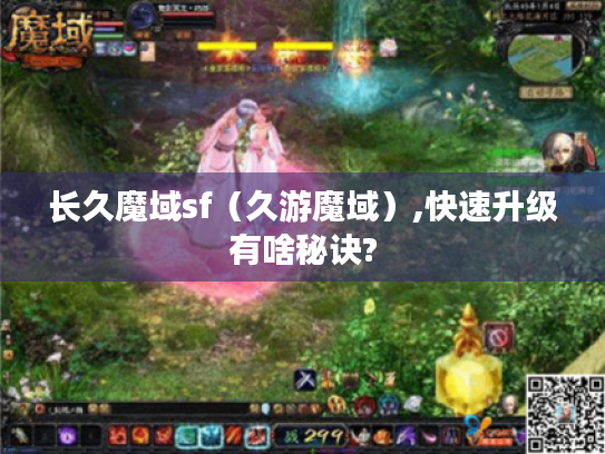 长久魔域sf(久游魔域),快速升级有啥秘诀? 长久魔域sf(久游魔域),快速升级有啥秘诀?