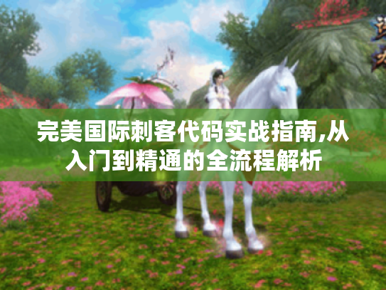 完美国际刺客代码实战指南,从入门到精通的全流程解析 完美国际刺客代码实战指南,从入门到精通的全流程解析
