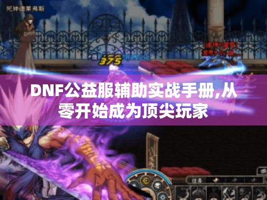 DNF公益服辅助实战手册,从零开始成为顶尖玩家 DNF公益服辅助实战手册,从零开始成为顶尖玩家