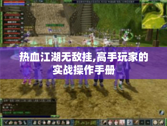 热血江湖无敌挂,高手玩家的实战操作手册