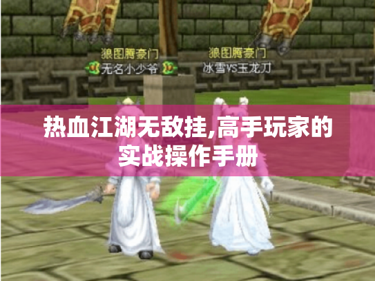 热血江湖无敌挂,高手玩家的实战操作手册