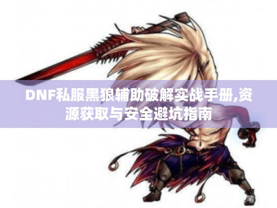 DNF私服黑狼辅助破解实战手册,资源获取与安全避坑指南 DNF私服黑狼辅助破解实战手册,资源获取与安全避坑指南