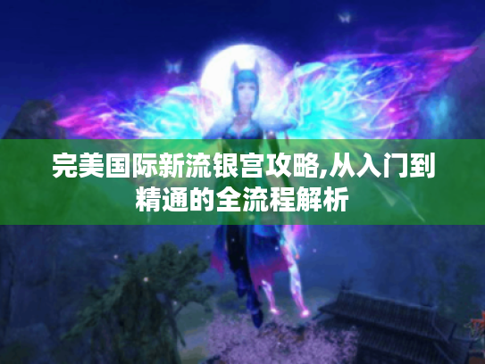 完美国际新流银宫攻略,从入门到精通的全流程解析 完美国际新流银宫攻略,从入门到精通的全流程解析