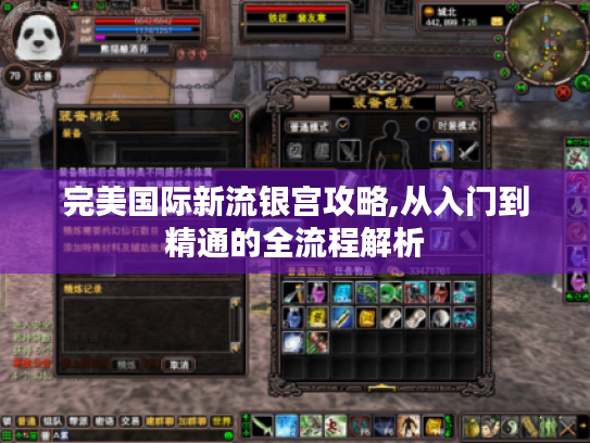 完美国际新流银宫攻略,从入门到精通的全流程解析 完美国际新流银宫攻略,从入门到精通的全流程解析