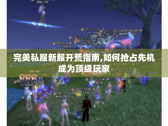 完美私服新服开荒指南,如何抢占先机成为顶级玩家 完美私服新服开荒指南,如何抢占先机成为顶级玩家