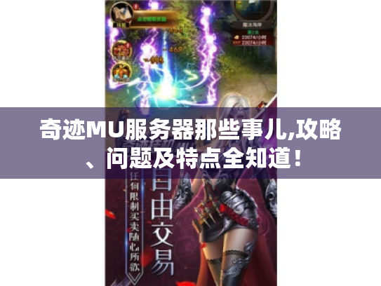 奇迹MU服务器那些事儿,攻略、问题及特点全知道! 奇迹MU服务器那些事儿,攻略、问题及特点全知道!