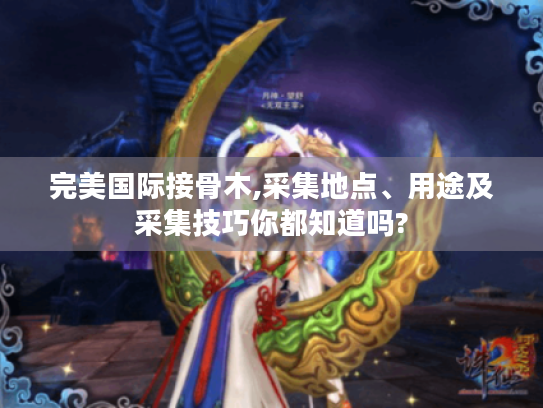 完美国际接骨木,采集地点、用途及采集技巧你都知道吗?